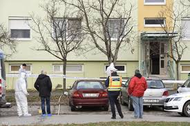 Albérletben élt szegeden a fiatal pár, akikre holtan találtak rá otthonukban. Index Belfold Nem Reg Jott Ossze A Vajdasagi Novel Ujev Napjan Agyonverte