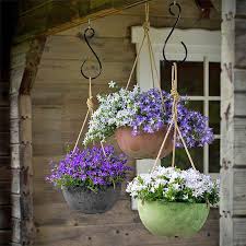The combination makes for a beautiful display. Hanging Flower Baskets 5 Secrets The Pros Use The Garden Glove