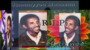 Radio afuura biyyaa's interview with poet zelalem abera (part 2). Muddee 22 1994 Dr Zelalem Abera Maal Jedhe Fuggisoo Youtube