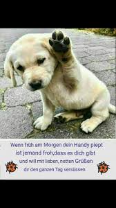 Guten Morgen Spruche Zvierata Schone Guten Morgen Spruche Guten Good Morning Funny Morning Humor Funny Pictures