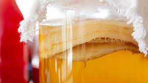 Although kombucha has many health benefits, its safety is not guaranteed because most of the studies are done on rats and other animals. 10 Potential Benefits Of Kombucha Everyday Health