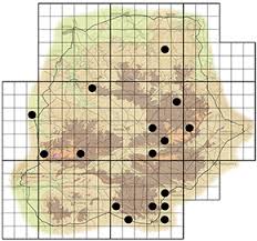 Image result for Erythrococca