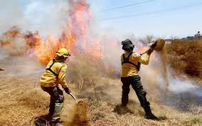Últimas noticias, fotos, videos e información sobre incendios. Incendios Forestales En La Cdmx Durante 2021 Superan A Los Dos Anos Anteriores El Sol De Mexico Noticias Deportes Gossip Columnas