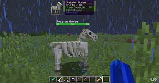 Adventuring through the minecraft universe is a lot easier with a trusted steed. What Do You Feed A Skeleton Horse In Minecraft