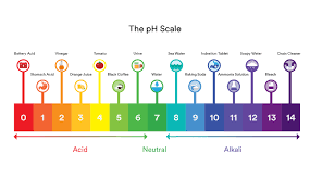 Different solutions have different ph levels. Alkaline Water Is It Really Good For You Mitte