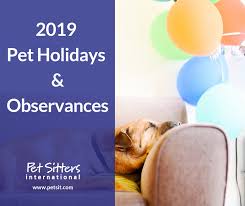 At cws, we want what's best for them, too. 2019 Pet Holidays Pet Sitters International