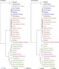 Hierarchical Clustering Of Dog Breeds In Set 1 Dendrogram