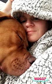 Dog walker horrifically mauled to death while walking eight in a park in  Surrey was attacked by her own giant pit bull which she had rescued only  weeks before