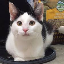 Little bit of Spitting Rain 🌧 and these two can't wait to get in 😂 WIMPS  😜