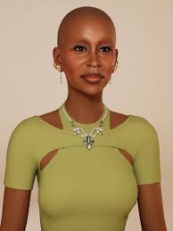 Meine Meinung zu Cynthia Erivo als Elphaba in Wicked : r/inZOI