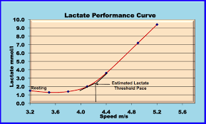 Questions About Lactate Testing