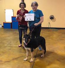 Get directions, reviews and information for at home veterinary care in tallahassee, fl. At Home Veterinary Care Veterinarian In Tallahassee Fl