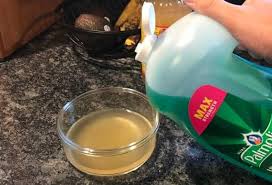 Trap the gnats with vinegar or rotten fruits all you may need is some good old vinegar and dish soap to wipe out the gnat population at home. 3 Easy Steps To Get Rid Of Fruit Flies With Apple Cider Vinegar Prudent Reviews