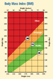 Liver Enzymes Level Chart Liver Enzymes Test Normal Range