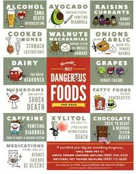 Dangerous Foods For Dogs Dangerous Foods For Dogs Toxic