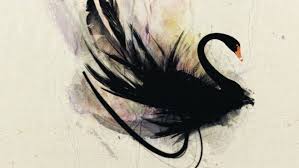 Black And White Swan Tattoo Black Swan Swan Tattoo Black Swan Tattoo Swan Drawing