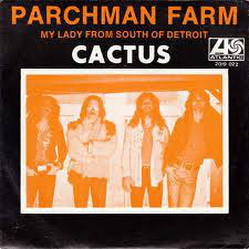 Яna bormann ☮ великий отказ 07.09.2017. Discos Para El Recuerdo Cactus