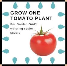 A wire fence or trellis will give you a similar. Tomato Plant Spacing Lasagna Gardening Healthy Plants Composting Process