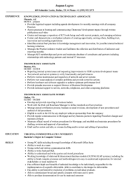 technology associate resume samples