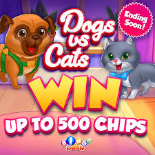Bingo Bash Fan Page Bingo Bash Last Call To Choose Your Favorite Team Bashers Cats Or Dogs Don T Miss The Chance To Win Up To 500 Chips Collect Your Fury Freebie Start Now Https Bit Ly 2dr2r6a