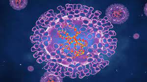 Monkeypox represents a rare viral disease occurring predominantly in central and western africa. Po5ssd90qne2bm