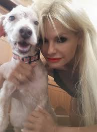 Health issues with Belgian Sheepdogs