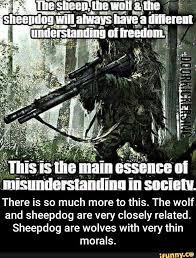 Modest and unassuming in nature, jacobi's firm place in theatre history centers. There Is So Much More To This The Wolf And Sheepdog Are Very Closely Related Sheepdog Are Wolves With Very Thin Morals Military Life Quotes Warrior Quotes Military Quotes