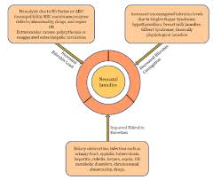 the pathophysiology of neonatal jaundice download