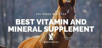 It provides polyunsaturates for skin and hair condition, plus a healthy balance of vitamins. Best Horse Vitamin And Mineral Supplement The Horse Dispatch