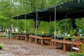 Soos Creek Bot Garden Plant Sales 1st Fri Sat June October Plus Sat In Summer Botanical Gardens Garden Patio