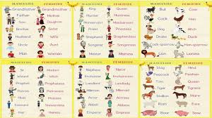 Gender Of Nouns In English Grammar Useful Masculine And Feminine List
