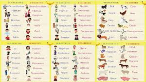 gender of nouns in english grammar useful masculine and feminine list