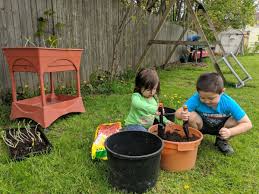 Establishing a sanctuary for wild birds in your backyard has many benefits. Backyard Nature Learning Activities For Kids Owlcation Education