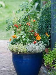 Your Step By Step Guide To Successful Edible Container Gardening Indoor Vegetable Gardening Container Gardening Flowers Growing Vegetables