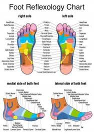 pin on reflexology foot