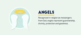 A contemporary silver fern which is widely representative of new zealand and new zealanders. Female Symbols Of Strength And Growth Novocom Top