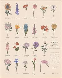 Botanic Flowers Clipart Botanical Flower Clip Art Vector Flower Illustration Individual Png Logo Print Planner Stickers Cards Botanical Flowers Flower Clipart Flower Illustration