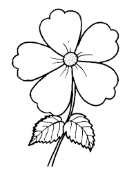 Kumpulan gambar tentang gambar bunga cantik simple, klik untuk melihat koleksi gambar lain di kibrispdr.org. Contoh Gambar Bunga Yang Cantik
