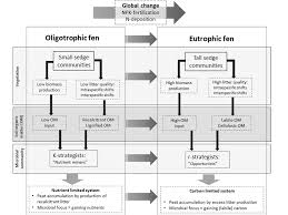 4 Simplified Hypothetical Flowchart Showing Contrasting