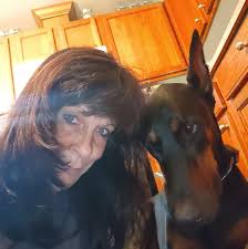 Susan J Stickle Equestrian Photography LLC