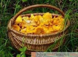 I finferli per l'inverno possono essere decapati, in salamoia, essiccati o congelati. Finferli In Salamoia Per L Inverno