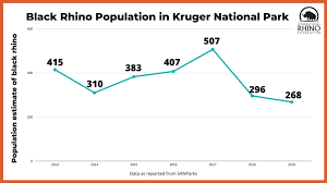 Steep Declines In Kruger S Rhino Population Cause For Concern International Rhino Foundation