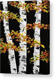 Black And White Birch Tree Wall Art White Birch Trees In Fall On Black Background Painting Acrylic Print By Keith Webber Jr In 2020 Black Background Painting Black Canvas Paintings Fall Canvas Painting