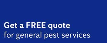 Tactic pest control townsville is a locally operated business servicing the greater townsville region. Flick Pest Control Pest Control Temora