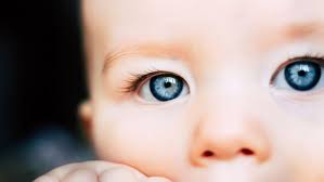 Ajar anak anda untuk tidak menelan ubat gigi sebaliknya meludah sebaik sahaja selepas memberus gigi. Penyakit Mata Bayi Ibu Bapa Tidak Boleh Ambil Mudah Hello Doktor