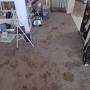 Best cleaner carpet cleaning from www.reddit.com