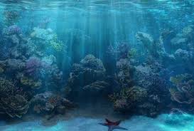 Fish Tank Background Printable 50 Best Aquarium Backgrounds Aquarium Backgrounds Fish Background Aquarium Live Wallpaper