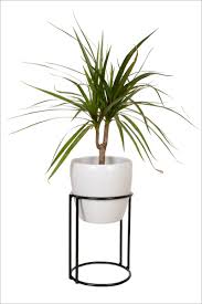 H gray stone slab 2 tier large square black/gold cast metal plant stand. These 13 Modern Plant Stands Put Your Favorite Plants On Display