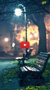 Park At Night Aesthetic Park At Night Photography Bench At Park Aesthetic Park Night Wallpaper Live Wallpapers Night Photography Wallpaper