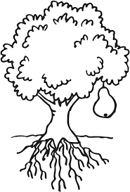 This is necessary because the roots help support the tree. Png Clipart Clip Art Tree Coloring Pag